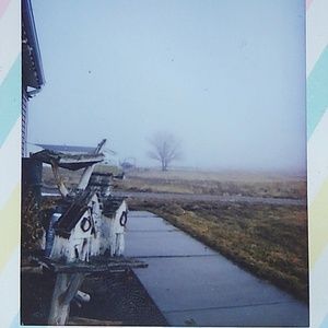 Meet your Posher, Casey